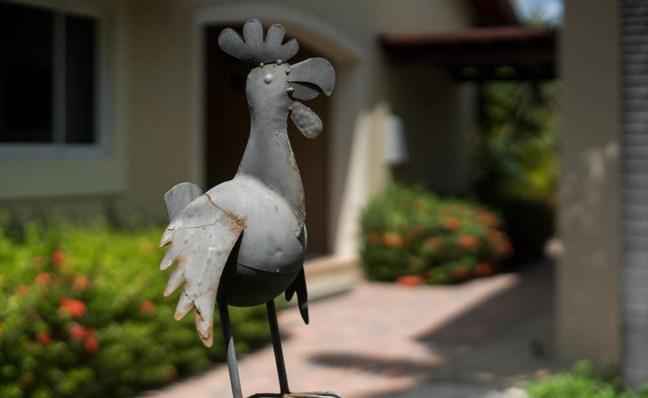 Costa Esmeralda Village Παλμ Μπιτς Εξωτερικό φωτογραφία